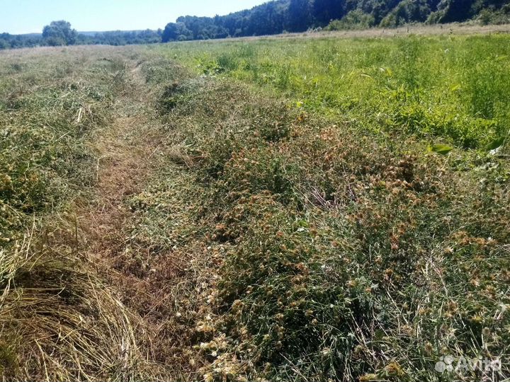 Сено разнотравье в тюках