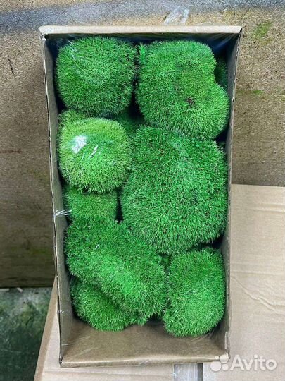 Стабилизированный мох оптом и в розницу