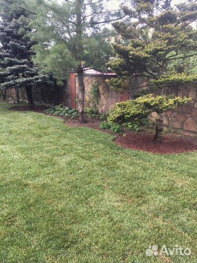 Укладка и продажа газона элитный