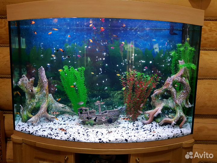 Обслуживание аквариумов и бассейнов