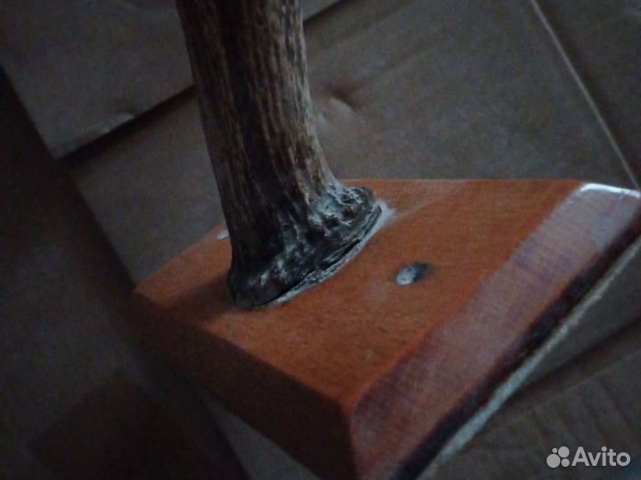 Старинная вешалка рога.1940-1950 годы