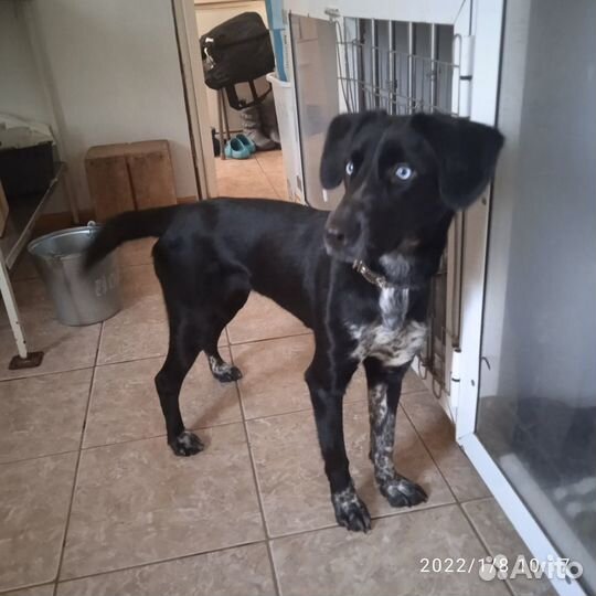 Красавица Герда очень ждёт свою семью