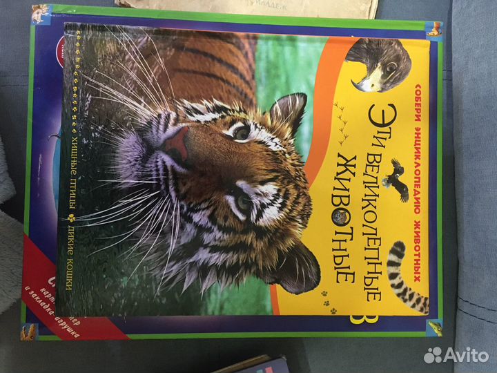 Детская энциклопедия