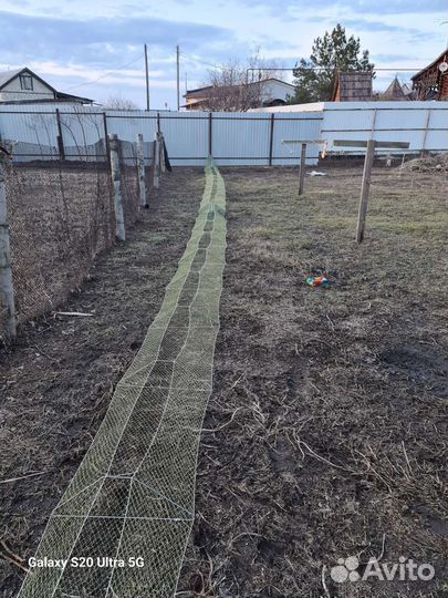 Раколовки дорожки