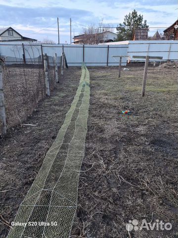 Раколовки дорожки