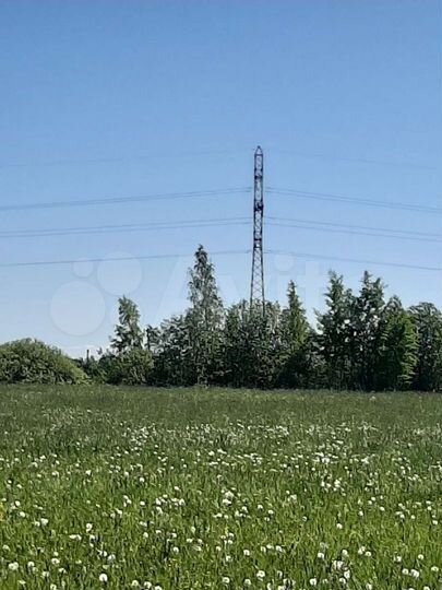 Участок 12,5 сот. (ИЖС)