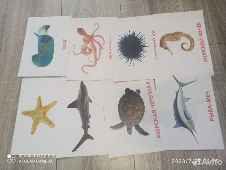 Развивающие карточки по методике Домана