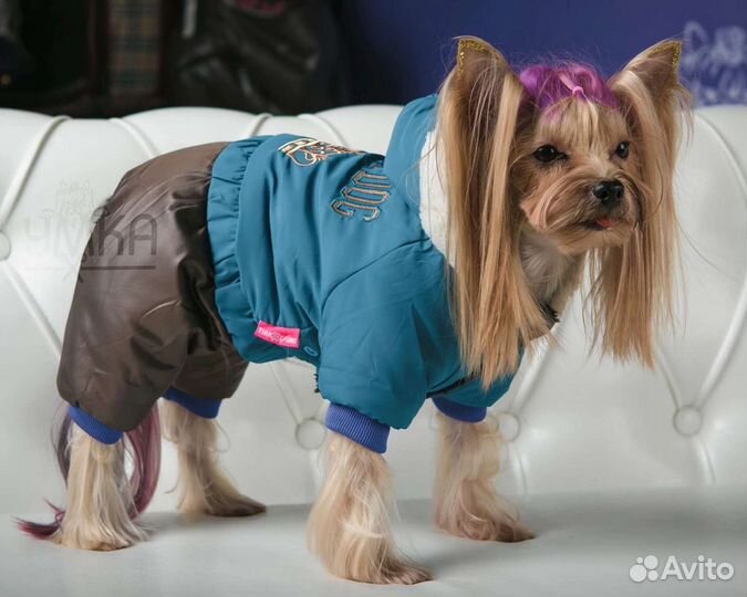 Костюмчики для собак