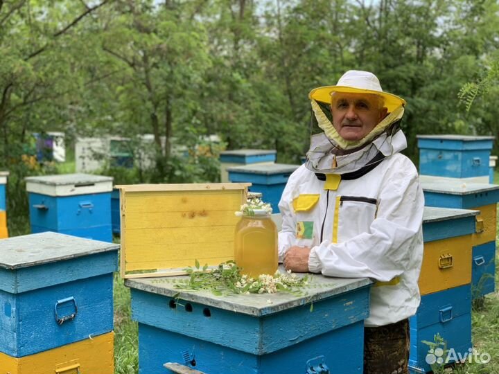 Мед белая акация 3л 2023 с доставкой бесплатно