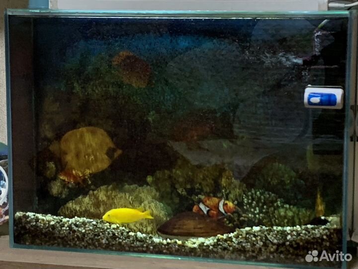 Аквариум