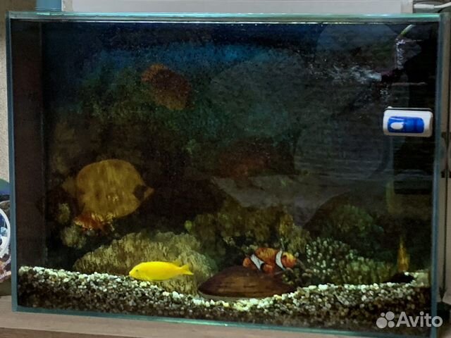 Аквариум