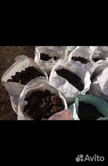 Навоз конский коровий перегной