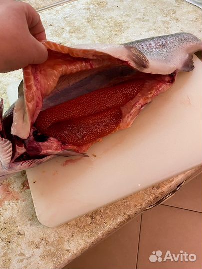 Свежая непотрошеная форель