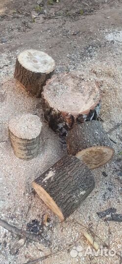 Слэбы, спилы, пеньки, столы