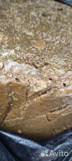 Живица кедровая (смолка) оптом