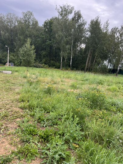 Участок 26 сот. (ИЖС)