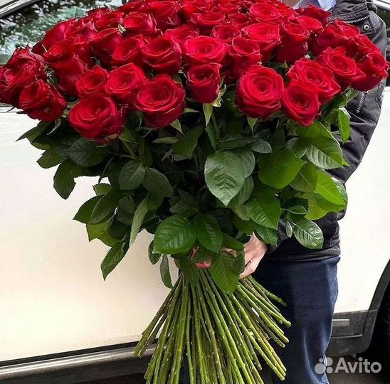 Высокие розы Гигантские розы Доставка цветов