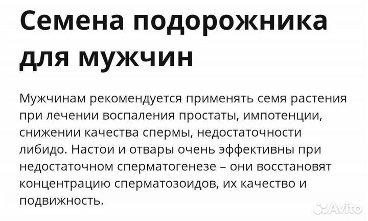 Семена подорожника