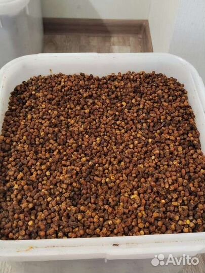 Перга пчелиная