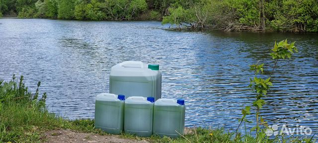 Хлорелла для очистки водоемов