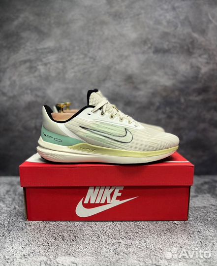Nike air zoom pegasus
