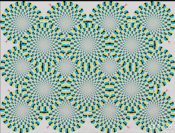 Комплектовщик на склад еженедельный аванс Дружный