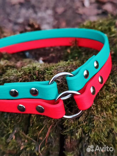 Шнур-ошейник для адресника из биотана (Чехия)