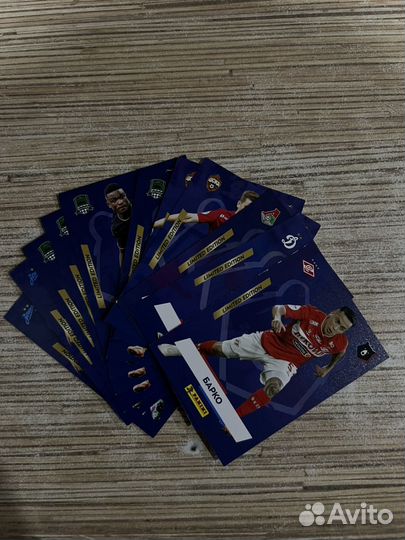 Наклейки рпл Panini 2024-2025