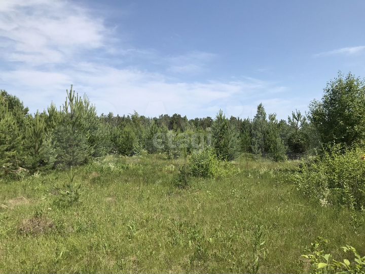 Участок 14,7 сот. (ИЖС)