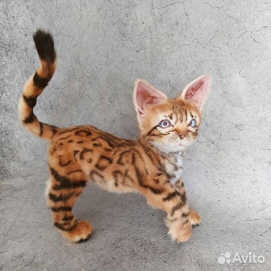 Бенгальский котенок ручной работы