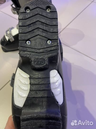 Горнолыжные ботинки dalbello