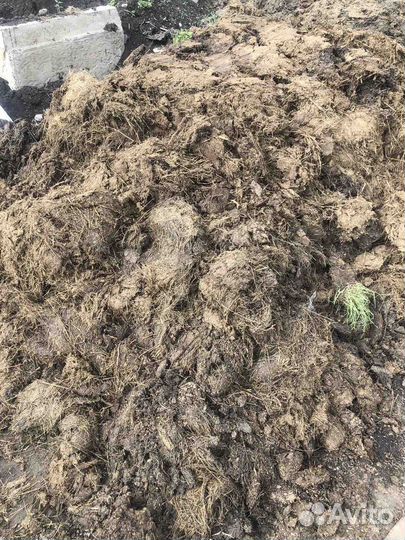 Перегной, навоз, компост