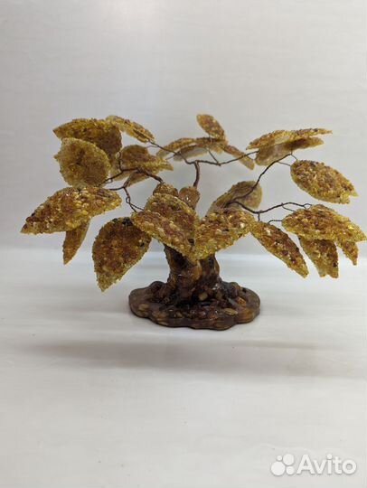 Янтарное дерево