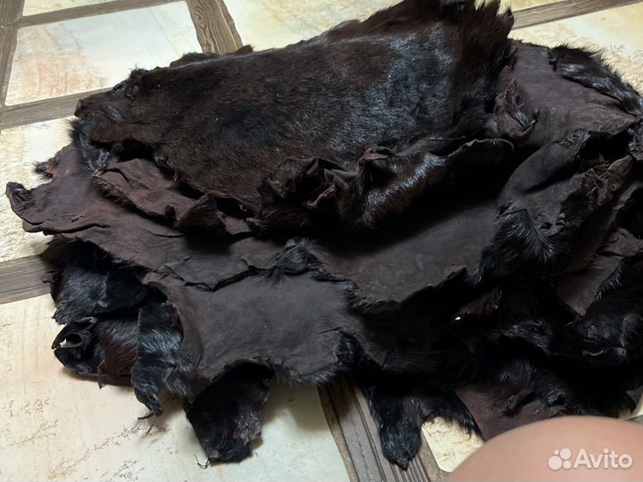 Сурок шкуры сырье