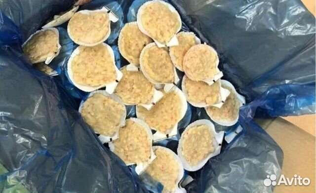 Морской гребешок