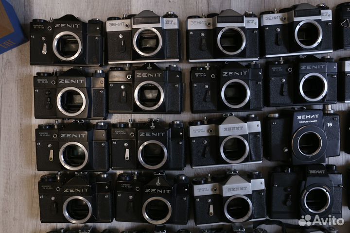 Тушки Зенит большой выбор 11.08.23