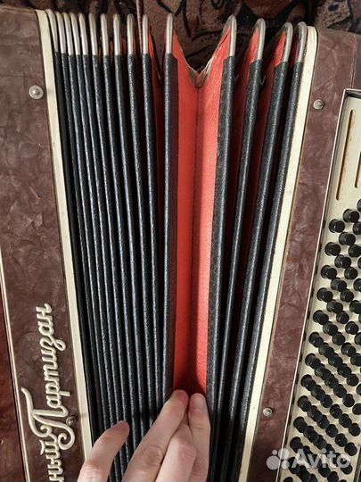 Аккордеон Красный партизан