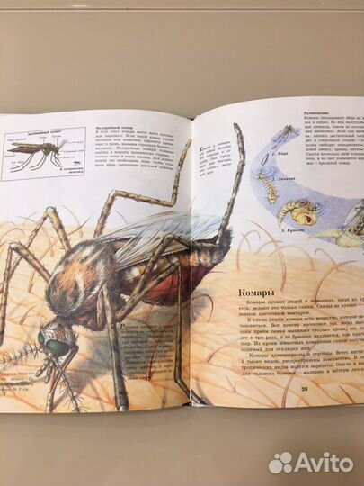 Книги о животных