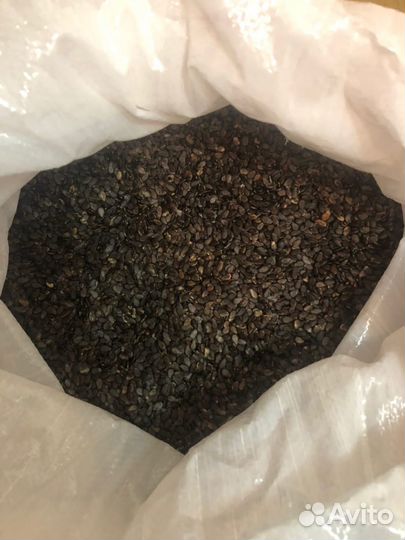 Семена арбуза