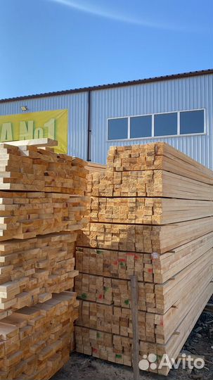 Лес с доставкой