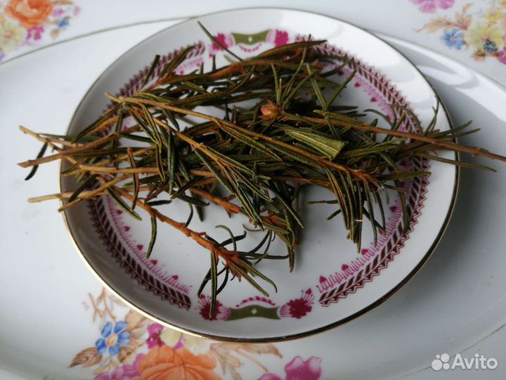 Багульник болотный сушеный 100г