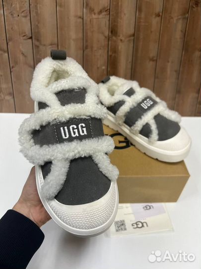 Кеды Ugg С Мехом Размеры 36-40