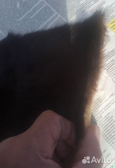 Мех норки воротник