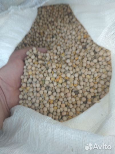 Корм горох, зерно ячмень, кукуруза, овёс