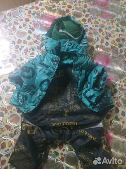 Одежда для маленьких собак