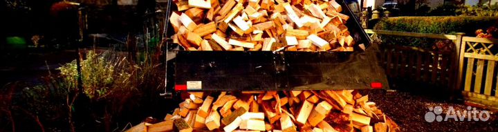 Береза на выбор