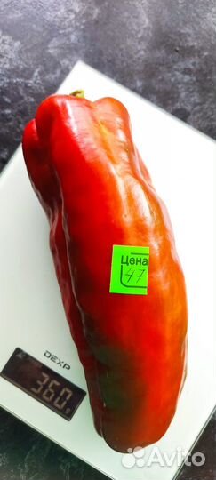 Семена сладкого перца