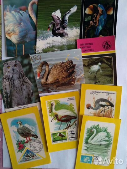 Календарики СССР, природа, животные