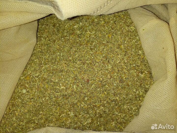 Зверобой липа багульник гвоздика Чай