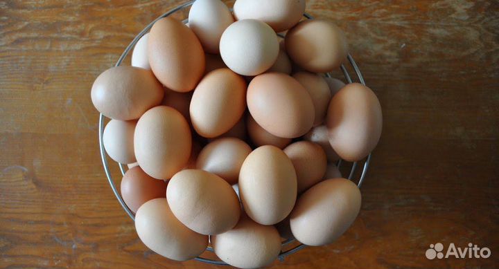 Яйца домашние